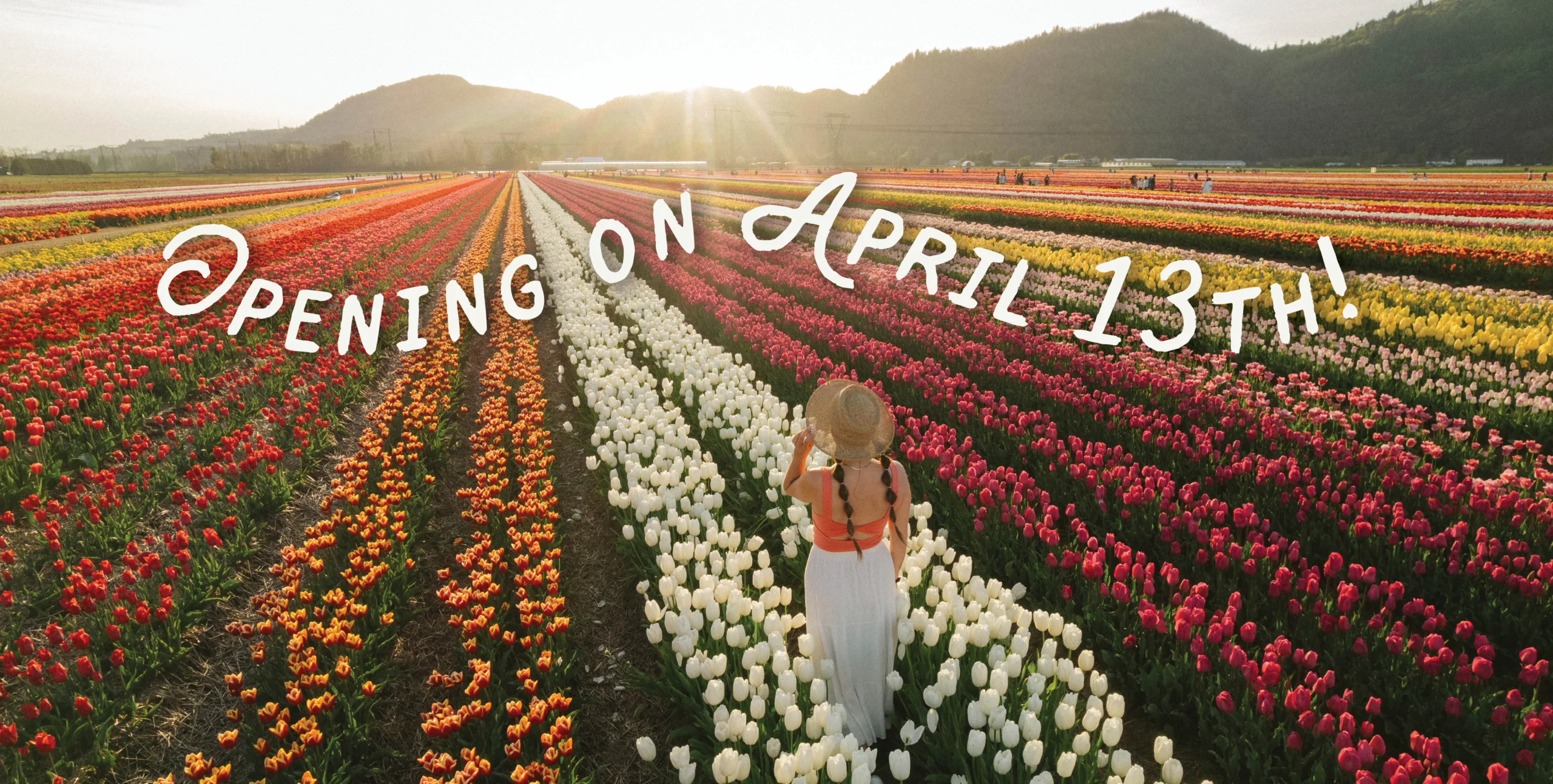 Closed for the season. See you in April 2026!