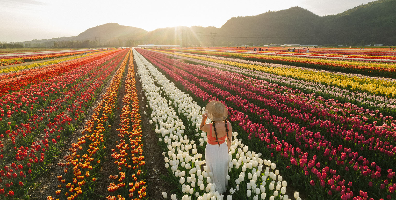 Closed for the season. See you in April 2026!